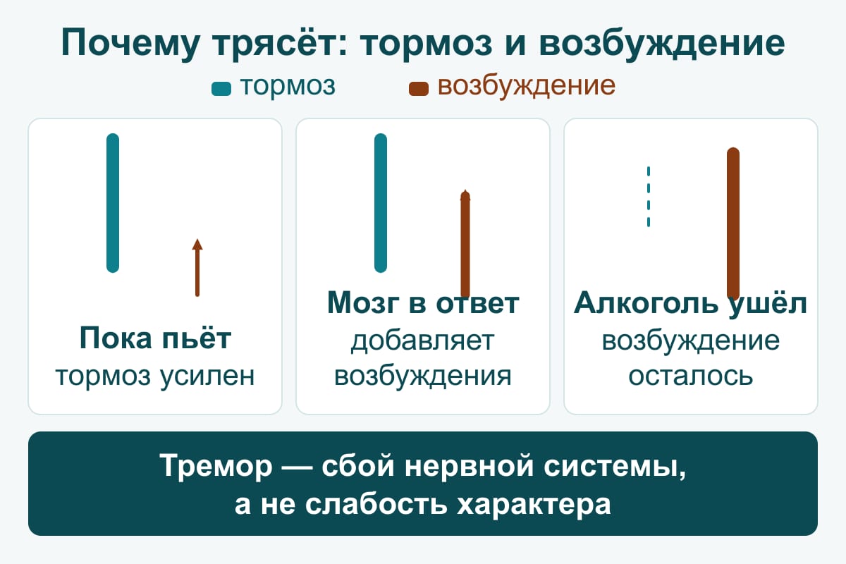 Схема: три панели механизма тремора — пока пьёт, тормоз усилен; мозг в ответ добавляет возбуждения; алкоголь ушёл — возбуждение осталось без противовеса